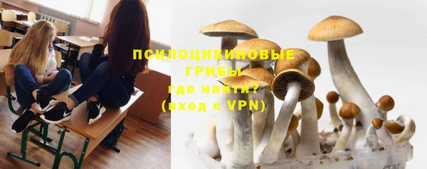 мдпв Лихославль