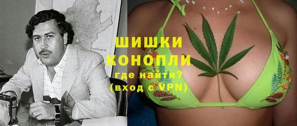 spice Лагань
